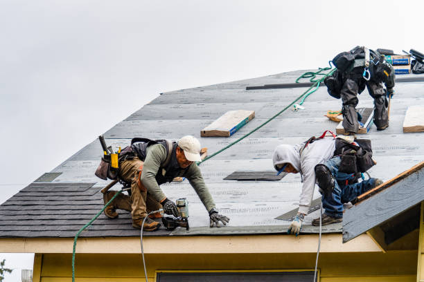 Professional Gutter Installation technician working in Cambridge, IL